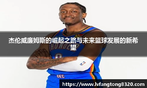 3377体育官网